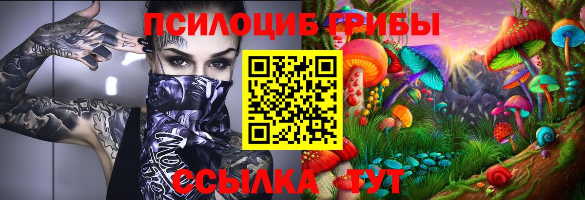 Елабуга  купить закладку  Вход с VPN  Галлюциногенные грибы Cubensis 