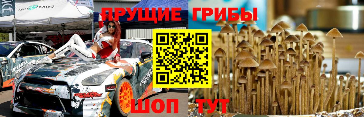 Галлюциногенные грибы MAGIC MUSHROOMS Елабуга